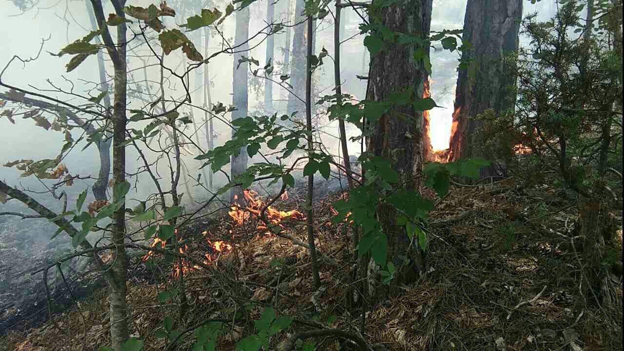 ФОТО: Пожар беснее во село Требовле – жителите ги молат институциите за помош