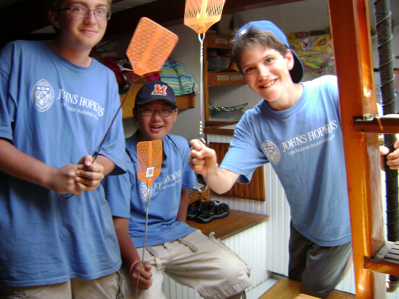 Испрскајте ја куќата со оваа мешавина и повеќе нема да видите мува или комарец