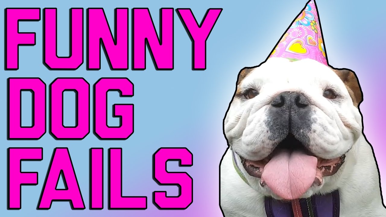 (ВИДЕО) УРНЕБЕСНО: Човековиот најсмешен пријател