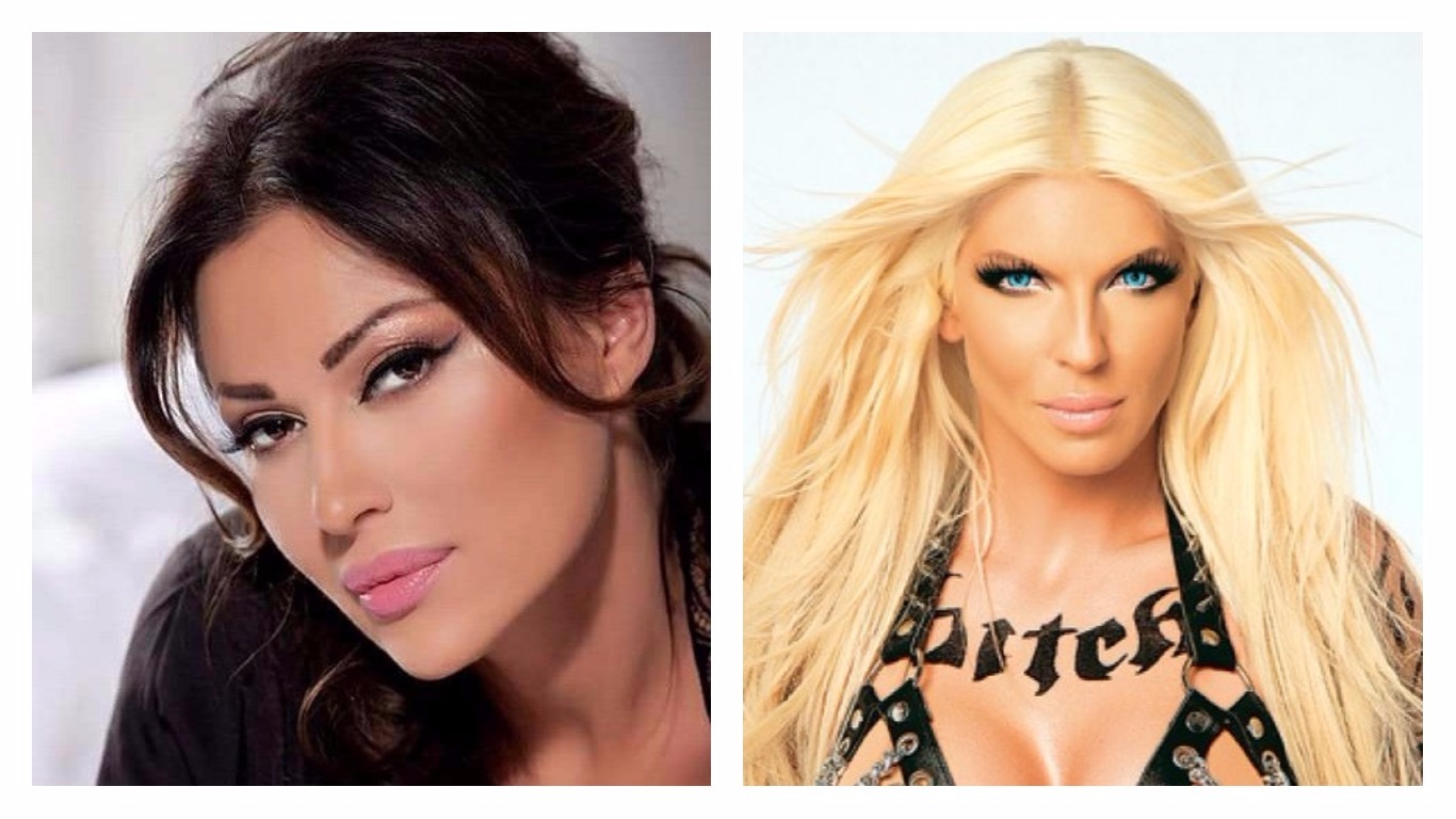 Цеца ја тужи Карлеуша