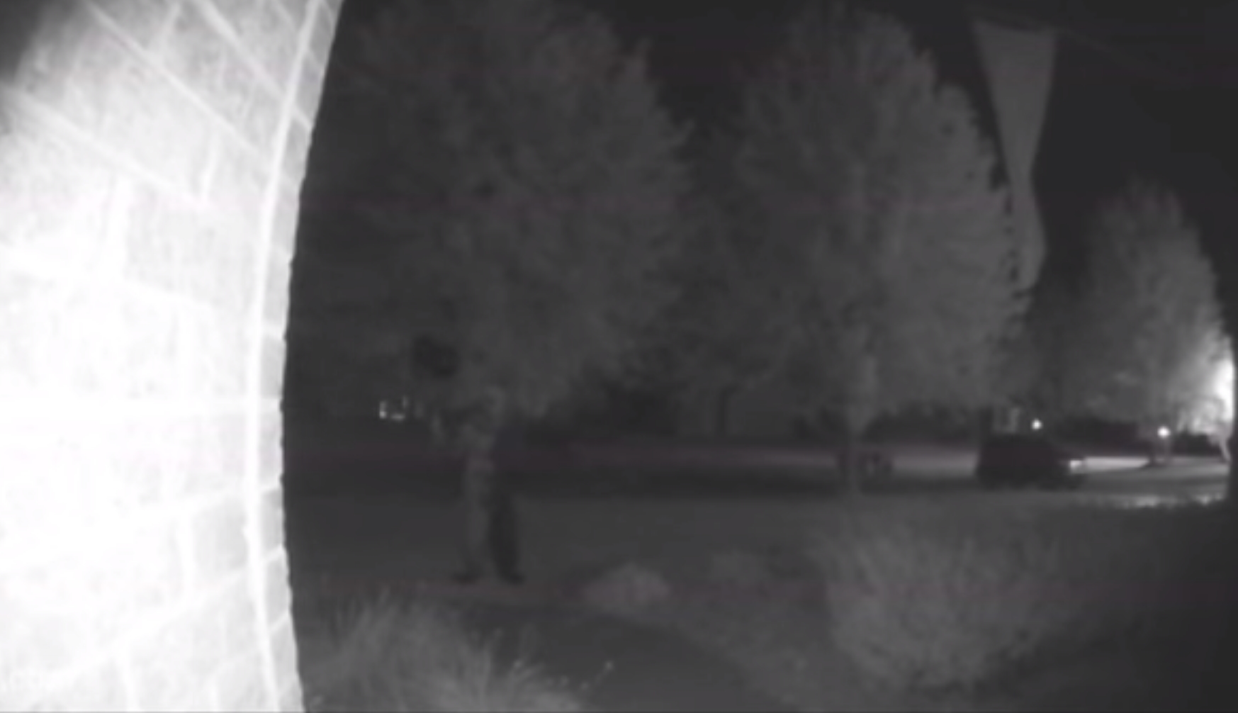 Неочекуван гостин им дошол среде ноќ