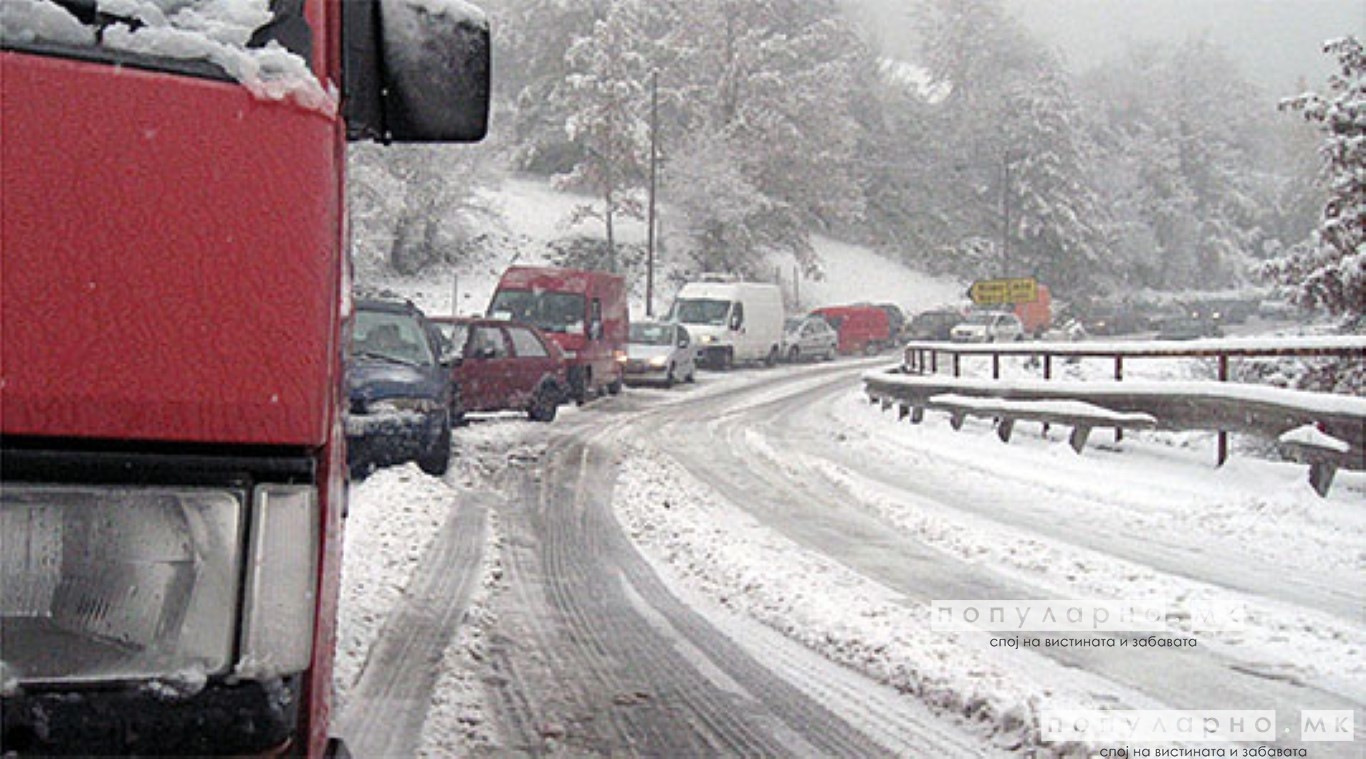 Сибирски бран од следната недела и во Македонија!