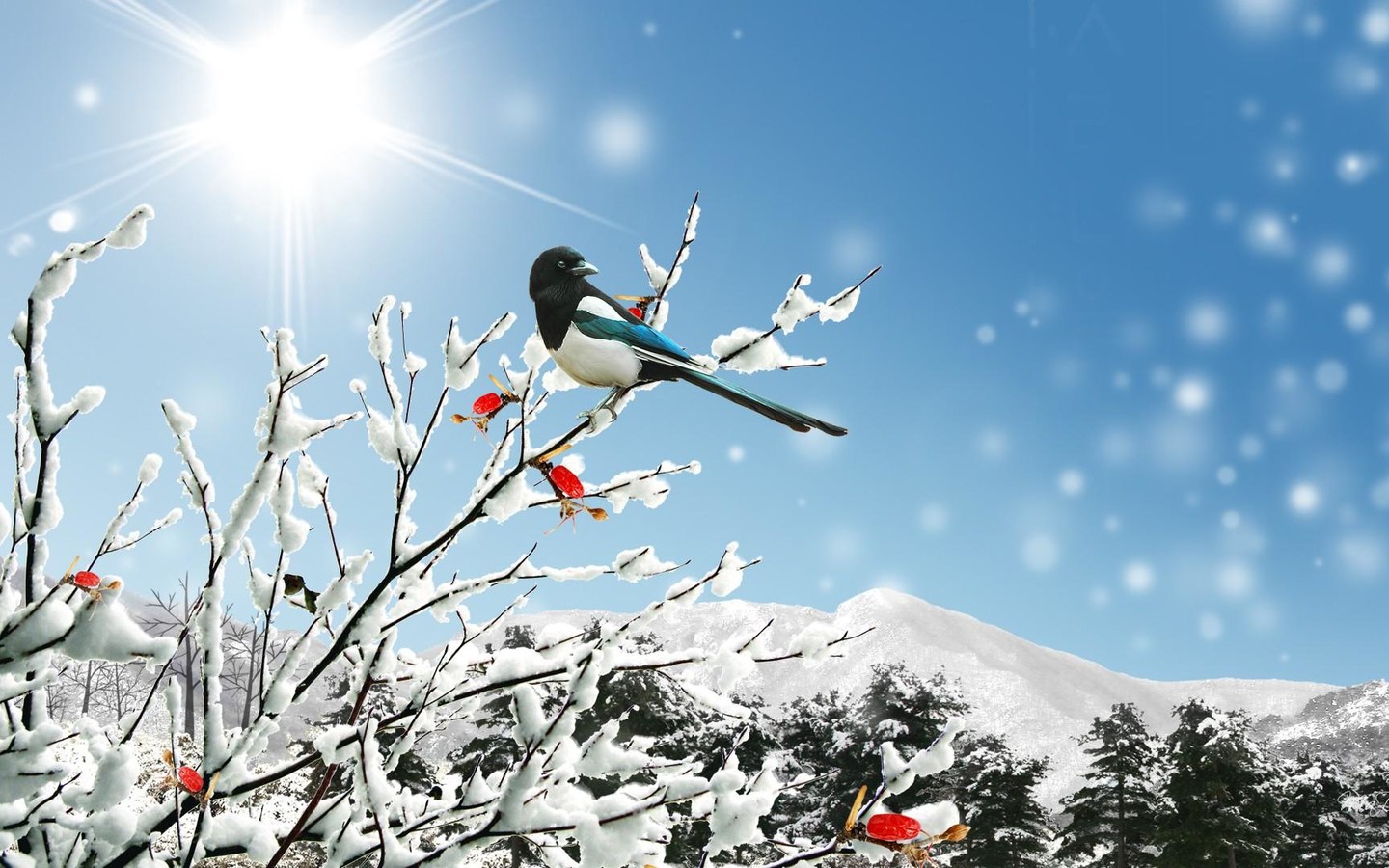 Температурите од -20 на +20 степени