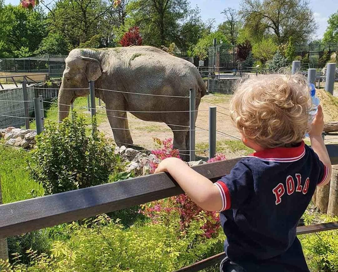 Скопската зоолошка добива авантура-парк за деца