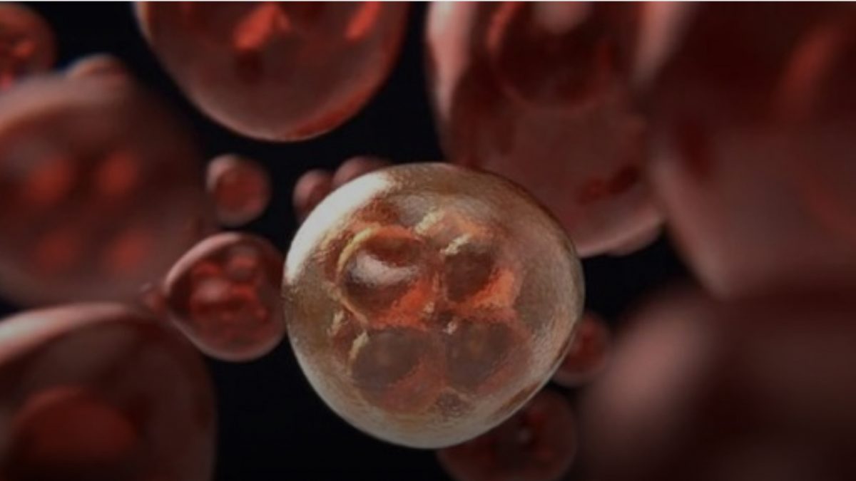 Јапонски научници развиваат вакцина против стареење