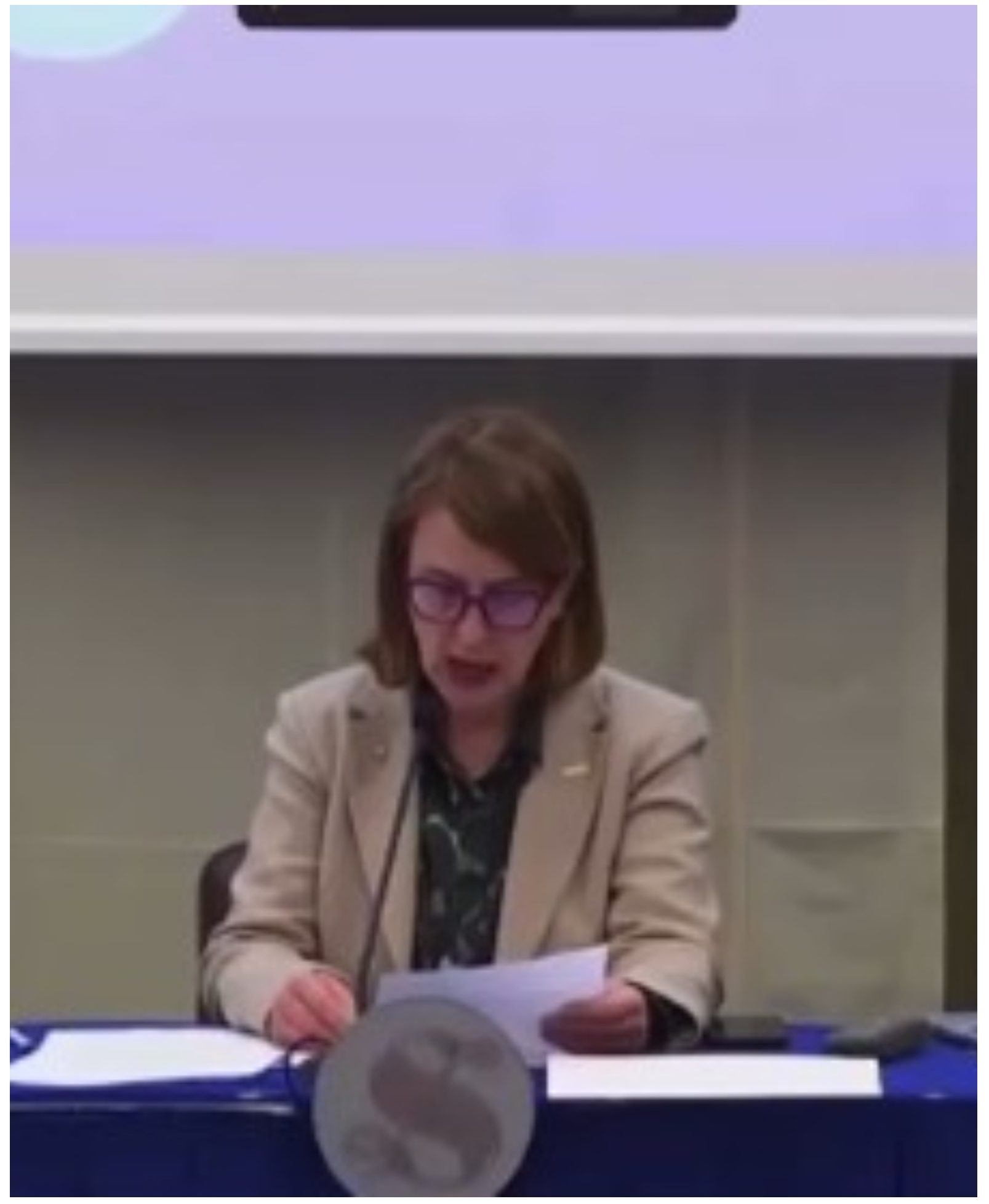 (Видео) Порно снимка го прекина состанокот меѓу италијанските пратеници и академици во Сенатот