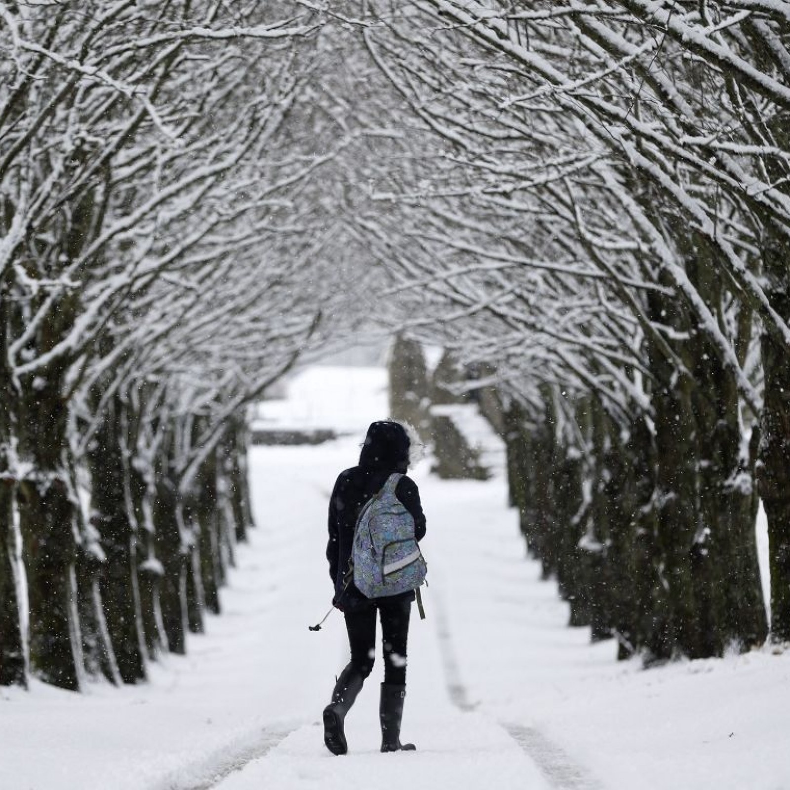 Во шкотскиот јазик има 421 збор за снег