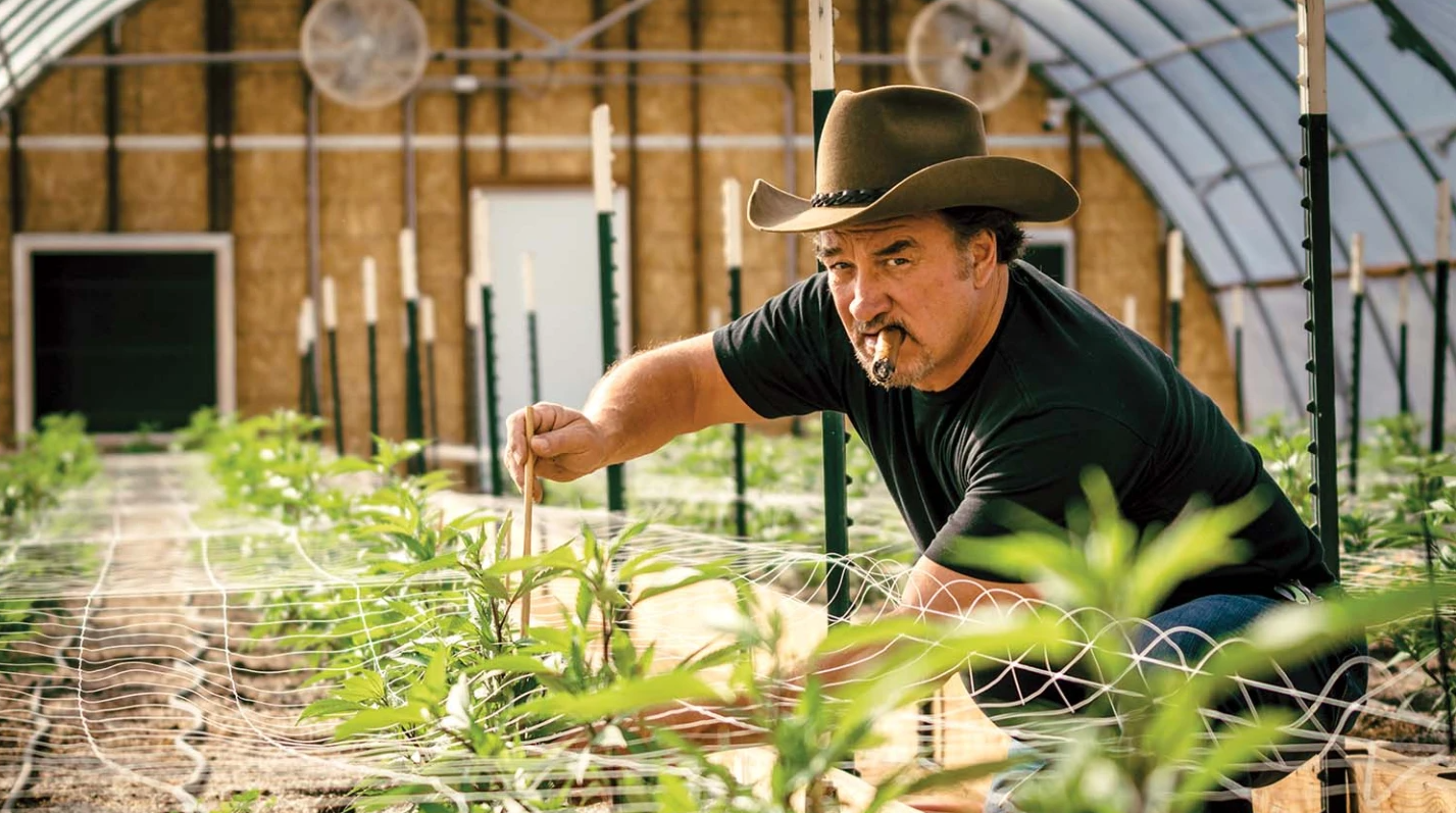 Глумецот Џејмс Белуши купи плантажа за марихуана и Холивуд го замени со земјоделство