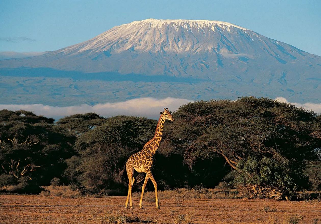 Килиманџаро доби интернет за да можат планинарите да објавуваат на социјалните мрежи