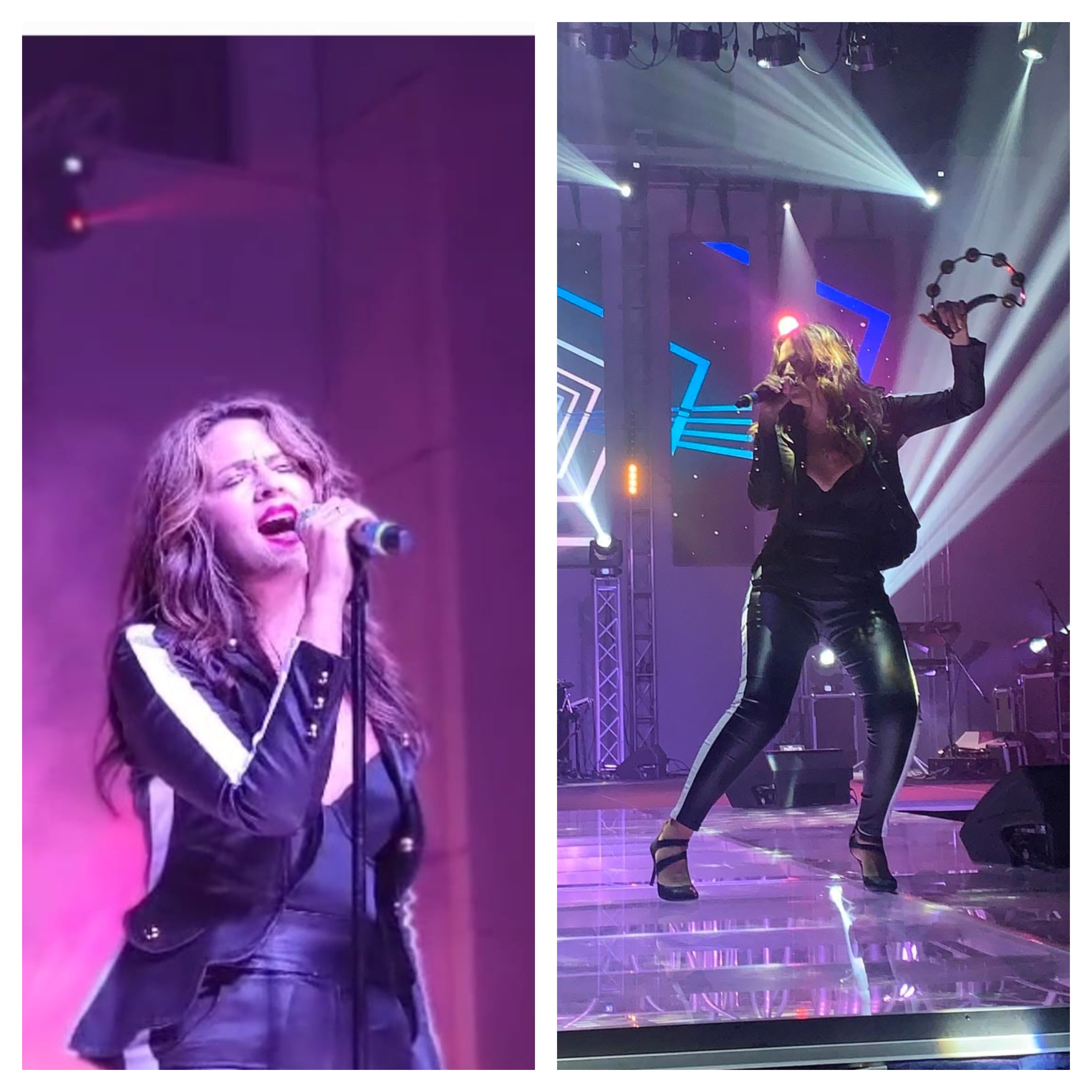 (Видео) Вепар се шета слободно во Белград