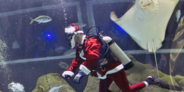 Дедо Мраз храни ајкули во аквариум во Рио де Жанеиро