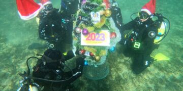 Нуркачите од Охрид ја украсија подводната новогодишна елка