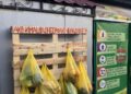 Кеси со храна оставени на закачалка за поубави празници, хумана акција на гранапче во Гевгелија