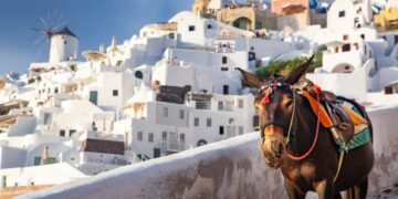 Места во светот во кои се забранети автомобилите, а дозволени магарињата