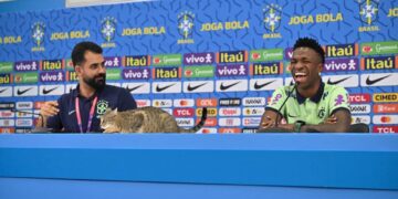 (Видео) Друштво за заштита на животните ги тужи Бразилците за начинот на кој ја исфрлија мачката од пресот