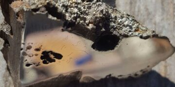 Во метеор паднат во Африка откриени два минерала, кои досега не се видени на Земјата