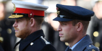 Роден сум само за ако нешто му се случи или му бидам потребен на Вилијам, напишал Хари во мемоарите