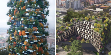 Во Кина се гради првиот шумски град во светот со 40.000 видови дрвја и еден милион растенија