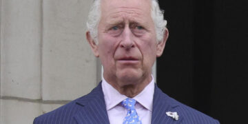 Момчето што фрлаше со јајца по кралот Чарлс денес се појави на суд
