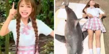 Кинезинка доби казна затоа што јадела заштитен вид ајкула