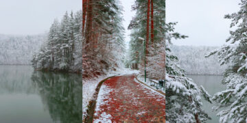 (Галерија) Снежна бајка од Беровското Езеро