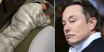 Илон Маск отпушти нови 200 луѓе од „Твитер“, меѓу нив и директорката што остануваше по 24 часа и спиеше на работа