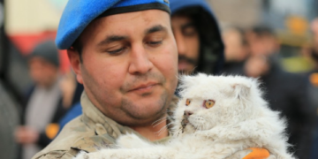 (Галерија) Емотивни сцени од спасените животни и сопствениците во катастрофалниот земјотрес во Турција и Сирија