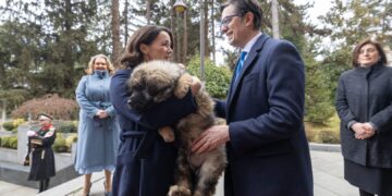 Стево ѝ даде на Новак само да го погали Роки