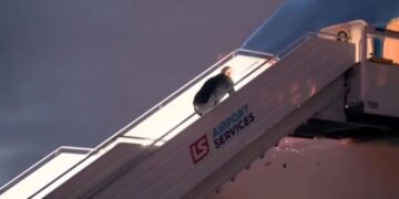 (Видео) Бајден пак падна додека се качуваше по скалите на претседателскиот авион