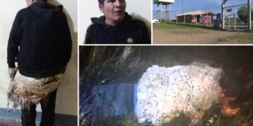 Затвореник се обидел да избега од затвор преправен во овца