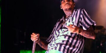 (Видео) Крис Браун на концерт ѝ го зеде телефонот на девојка и го фрли во публиката