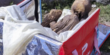 Доставувач за храна живеел со мумија стара 800 години и мислел дека му е девојка