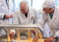 Кралот Чарлс на фарма во Германија засука ракави и правеше сирење
