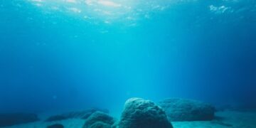 Зачини стари повеќе од 500 години пронајдени во остатоци на кралски борд во Балтичкото Море