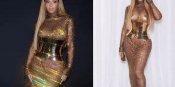 Во проѕирен фустан без грандик Бијонсе собра четири милиони лајкови