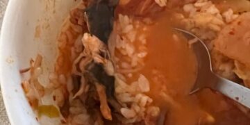 Брачен пар тужи популарен ресторан откако пронашле мртов стаорец во нивната чорба