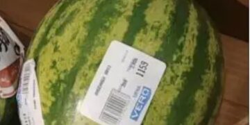 Бостанот во Македонија е новиот биткоин