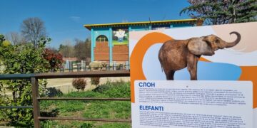 Credissimo со донација за ЗОО Скопје-oбновени информативните таблички за животните