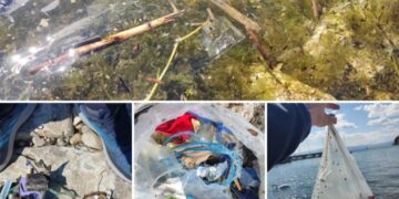 Охрид СОС: несовесни сограѓани, сонародници и гости фрлаат пластичен отпад во Охридско езеро