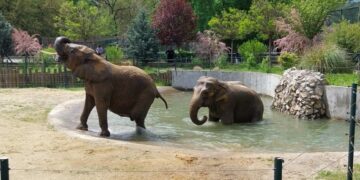 Дуња и Даела ја отворија сезоната за капење