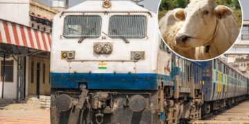 Летечка крава падна врз пензионер додека вршел нужда на пруга