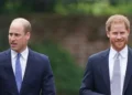 Вилијам и Хари нема да се сретнат на церемонијата за крунисувањето, предвидуваат кралските аналитичари