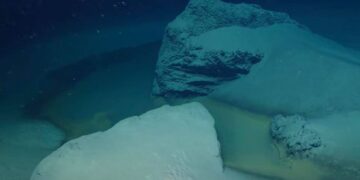 Во Египет откриено езеро на смртта во кое умира сè што ќе се доближи до дното