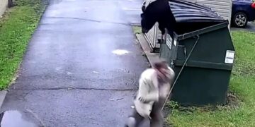 (Видео) Маж сакаше да фрли ѓубре, ама од контејнерот му излезе мечка