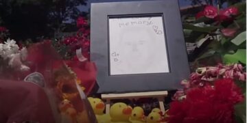 Маж им помагал на патки да го поминат патот, налетал автомобил и го усмртил