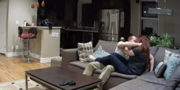 (Видео) Наместо да ѝ ги чува мачките на газдарицата, го фатиле во станот како има секс со љубовницата