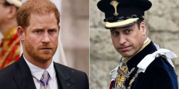 Вилијам и Хари не се ни погледнаа во очи на крунисувањето на нивнито татко, пишуваат светските медиуми