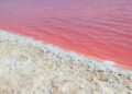 (Видео) Море во Јапонија преку ноќ ја смени бојата, сега е црвено