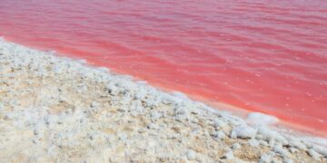 (Видео) Море во Јапонија преку ноќ ја смени бојата, сега е црвено