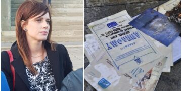 Професорката си ја запали дипломата пред Собранието: Работам како касиерка и шанкерка, а ноќе сум лекторка и пишувам